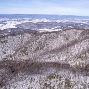Photo #52 of SOLD property in 1301 BALKAMORE HILL RD, STANLEY, VA 305.0 acres