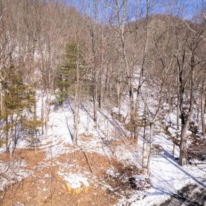 Photo #31 of SOLD property in 1301 BALKAMORE HILL RD, STANLEY, VA 305.0 acres