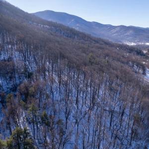 Photo #6 of SOLD property in 1301 BALKAMORE HILL RD, STANLEY, VA 305.0 acres