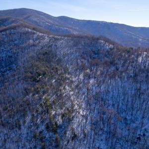 Photo #14 of SOLD property in 1301 BALKAMORE HILL RD, STANLEY, VA 305.0 acres