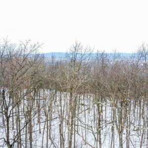 Photo #4 of 1331 LAUREL SPRINGS RD, WINTERGREEN RESORT, VA 0.5 acres