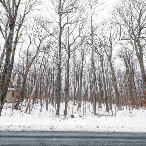 Photo #2 of 1331 LAUREL SPRINGS RD, WINTERGREEN RESORT, VA 0.5 acres