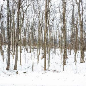 Photo #3 of 1331 LAUREL SPRINGS RD, WINTERGREEN RESORT, VA 0.5 acres