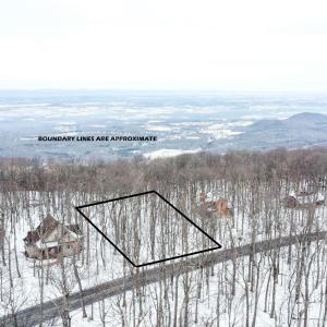 Photo #1 of 1331 LAUREL SPRINGS RD, WINTERGREEN RESORT, VA 0.5 acres