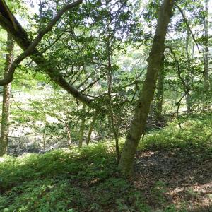 Photo #10 of Lot B6 SALTWORKS RD, JAMESVILLE, VA 4.4 acres
