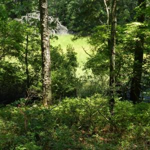 Photo #11 of Lot B6 SALTWORKS RD, JAMESVILLE, VA 4.4 acres