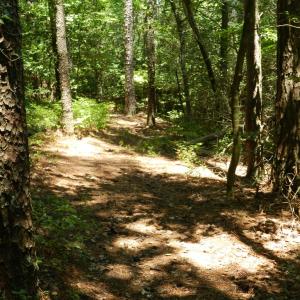 Photo #16 of Lot B6 SALTWORKS RD, JAMESVILLE, VA 4.4 acres