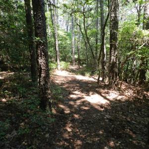 Photo #17 of Lot B6 SALTWORKS RD, JAMESVILLE, VA 4.4 acres