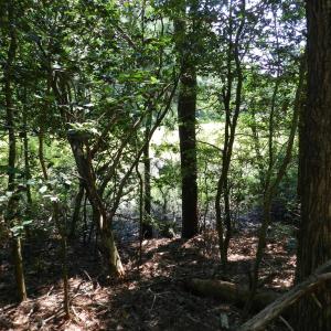 Photo #18 of Lot B6 SALTWORKS RD, JAMESVILLE, VA 4.4 acres