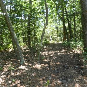 Photo #20 of Lot B6 SALTWORKS RD, JAMESVILLE, VA 4.4 acres