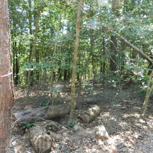 Photo #23 of Lot B6 SALTWORKS RD, JAMESVILLE, VA 4.4 acres
