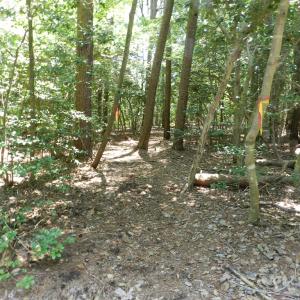 Photo #24 of Lot B6 SALTWORKS RD, JAMESVILLE, VA 4.4 acres