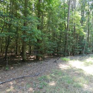 Photo #25 of Lot B6 SALTWORKS RD, JAMESVILLE, VA 4.4 acres