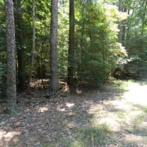 Photo #26 of Lot B6 SALTWORKS RD, JAMESVILLE, VA 4.4 acres