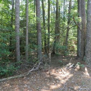 Photo #27 of Lot B6 SALTWORKS RD, JAMESVILLE, VA 4.4 acres