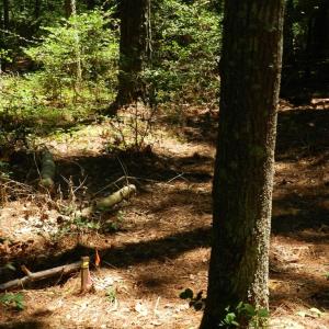Photo #28 of Lot B6 SALTWORKS RD, JAMESVILLE, VA 4.4 acres