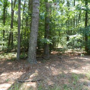 Photo #3 of Lot B6 SALTWORKS RD, JAMESVILLE, VA 4.4 acres