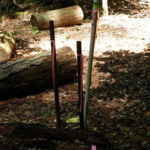 Photo #9 of Lot B6 SALTWORKS RD, JAMESVILLE, VA 4.4 acres
