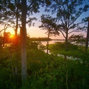 Photo #9 of 128 GOLDEN BEAR CIRCLE, CAPE CHARLES, VA 0.4 acres
