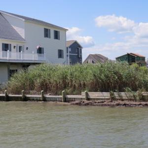 Photo #2 of LOT 1000 BAYSIDE DR, GREENBACKVILLE, VA 9,500.0 acres
