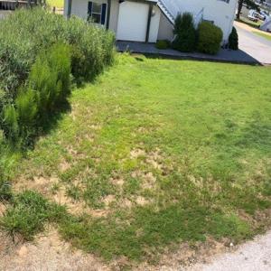 Photo #9 of LOT 1000 BAYSIDE DR, GREENBACKVILLE, VA 9,500.0 acres
