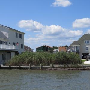 Photo #8 of LOT 1000 BAYSIDE DR, GREENBACKVILLE, VA 9,500.0 acres