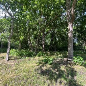 Photo #12 of N/A CHINCOTEAGUE RD, WALLOPS ISLAND, VA 51.0 acres
