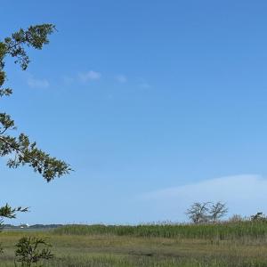 Photo #13 of N/A CHINCOTEAGUE RD, WALLOPS ISLAND, VA 51.0 acres