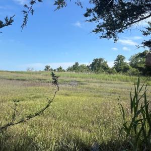 Photo #14 of N/A CHINCOTEAGUE RD, WALLOPS ISLAND, VA 51.0 acres