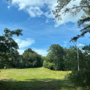 Photo #15 of N/A CHINCOTEAGUE RD, WALLOPS ISLAND, VA 51.0 acres