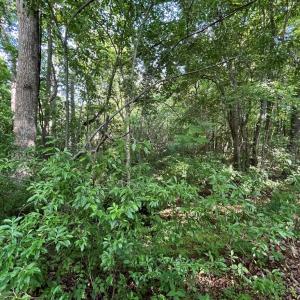 Photo #17 of N/A CHINCOTEAGUE RD, WALLOPS ISLAND, VA 51.0 acres