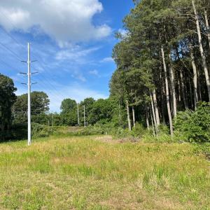 Photo #19 of N/A CHINCOTEAGUE RD, WALLOPS ISLAND, VA 51.0 acres