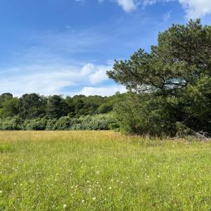 Photo #2 of N/A CHINCOTEAGUE RD, WALLOPS ISLAND, VA 51.0 acres
