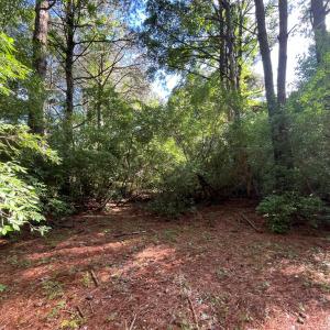 Photo #21 of N/A CHINCOTEAGUE RD, WALLOPS ISLAND, VA 51.0 acres