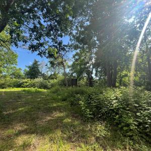 Photo #24 of N/A CHINCOTEAGUE RD, WALLOPS ISLAND, VA 51.0 acres