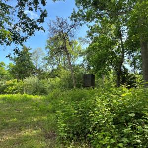 Photo #25 of N/A CHINCOTEAGUE RD, WALLOPS ISLAND, VA 51.0 acres