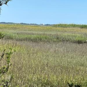 Photo #26 of N/A CHINCOTEAGUE RD, WALLOPS ISLAND, VA 51.0 acres