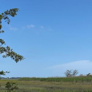 Photo #27 of N/A CHINCOTEAGUE RD, WALLOPS ISLAND, VA 51.0 acres