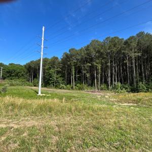 Photo #4 of N/A CHINCOTEAGUE RD, WALLOPS ISLAND, VA 51.0 acres