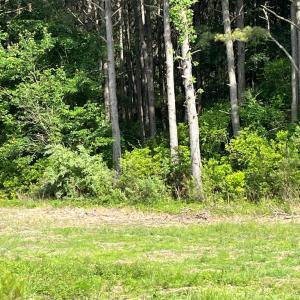 Photo #5 of N/A CHINCOTEAGUE RD, WALLOPS ISLAND, VA 51.0 acres