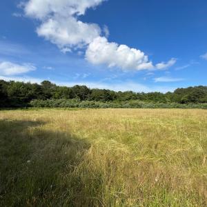 Photo #7 of N/A CHINCOTEAGUE RD, WALLOPS ISLAND, VA 51.0 acres