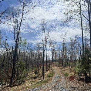 Photo #2 of 0 WILLOW BRANCH LN, FABER, VA 17.2 acres