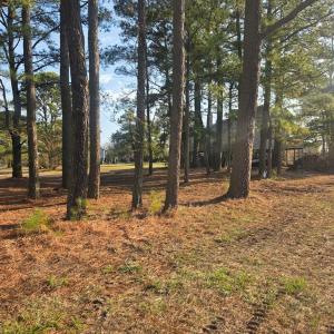 Almost Cleared lot, You can now see how your house would look sitting on this lot overlooking the waterway.