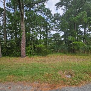 Beautiful Lot, Build your dream home here and enjoy all the Chincoteague Island has to offer