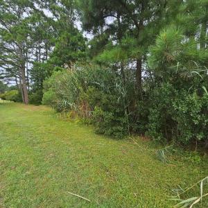 Lot, Formerly a wooded lot, now been almost clear so you can see your future home site.