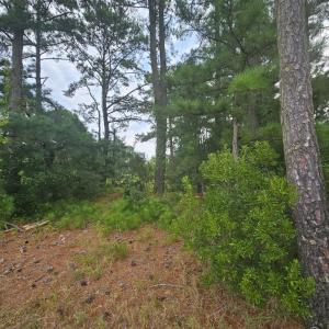 Lot-2, This lot is ready to place your beach home on.