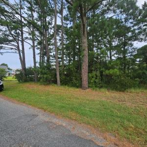 Street view, Paved roads add to this area of fine homes