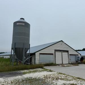 Main View