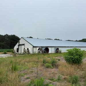 Photo #10 of 25495 SAXIS RD, TEMPERANCEVILLE, VA 10.0 acres