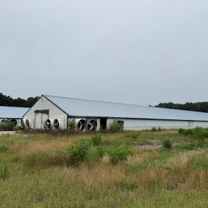 Photo #11 of 25495 SAXIS RD, TEMPERANCEVILLE, VA 10.0 acres